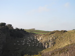 SX21427 Sheeps on cliff side.jpg